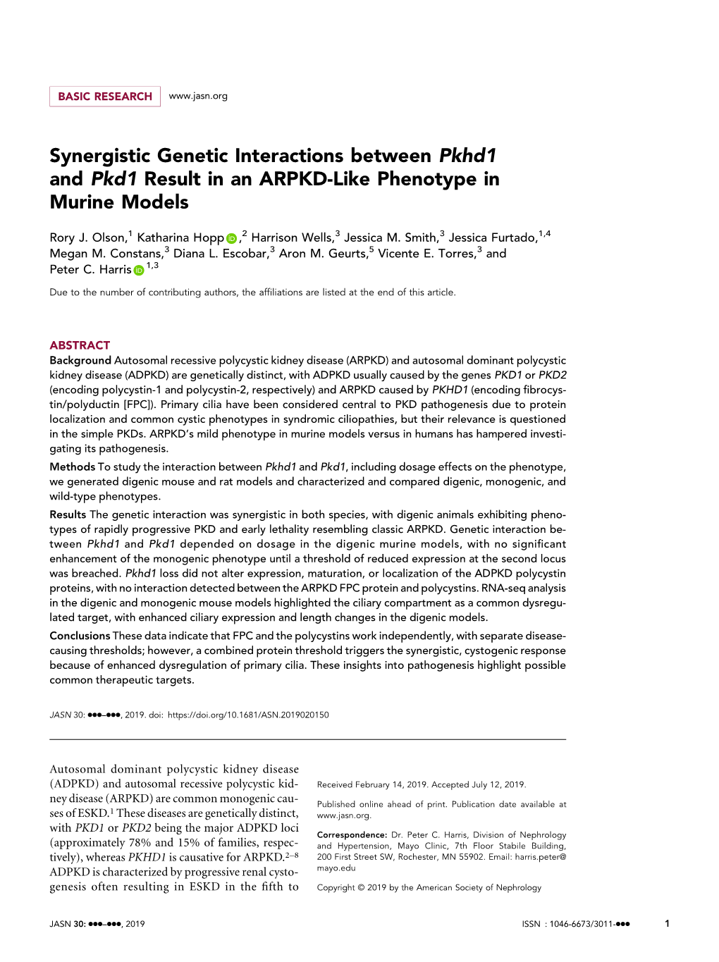 Synergistic Genetic Interactions Between Pkhd1 and Pkd1 Result in an ARPKD-Like Phenotype in Murine Models