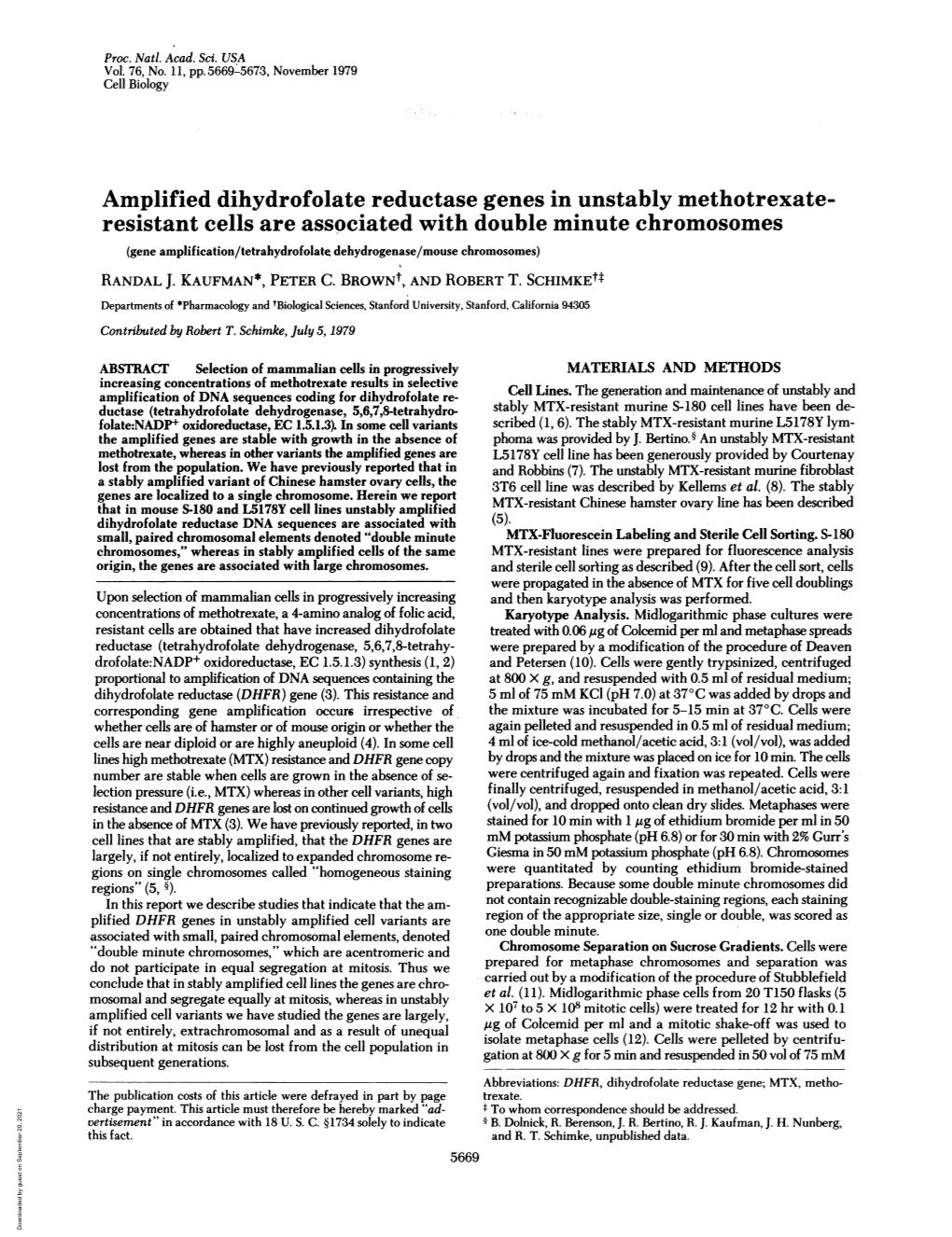 Amplified Dihydrofolate Reductase Genes in Unstably Methotrexate