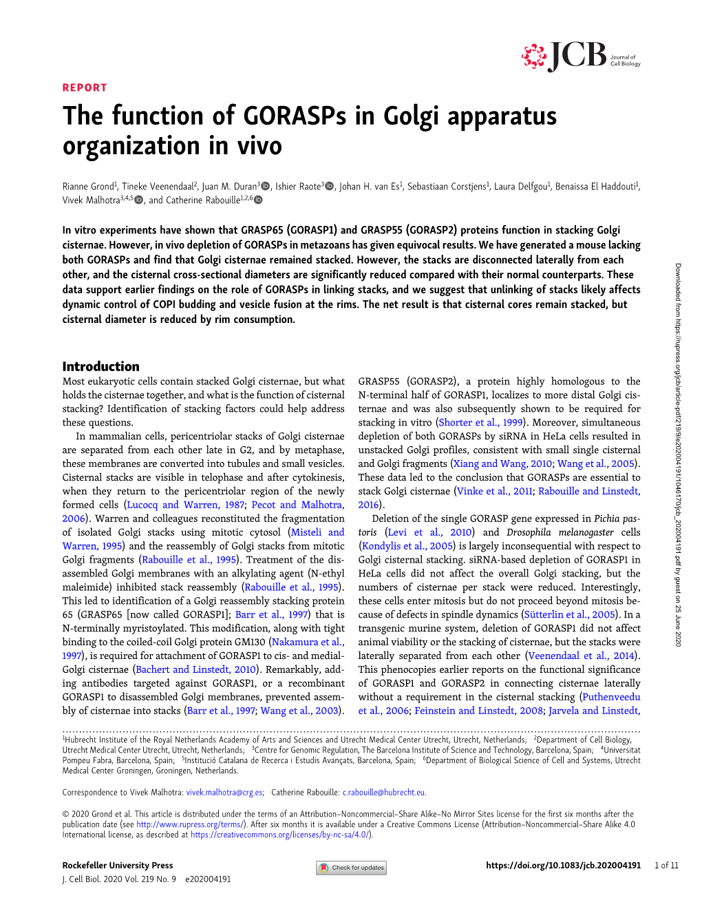 The Function of Gorasps in Golgi Apparatus Organization in Vivo