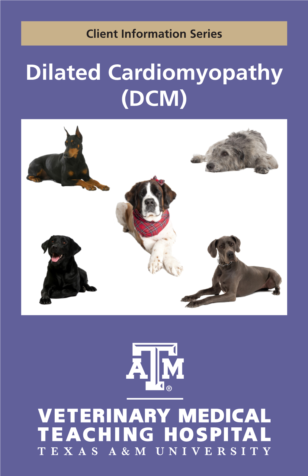 Dilated Cardiomyopathy (DCM) How Does the Normal Heart Work? the Heart Is the Organ Responsible for Pumping Blood to and from All Tissues of the Body