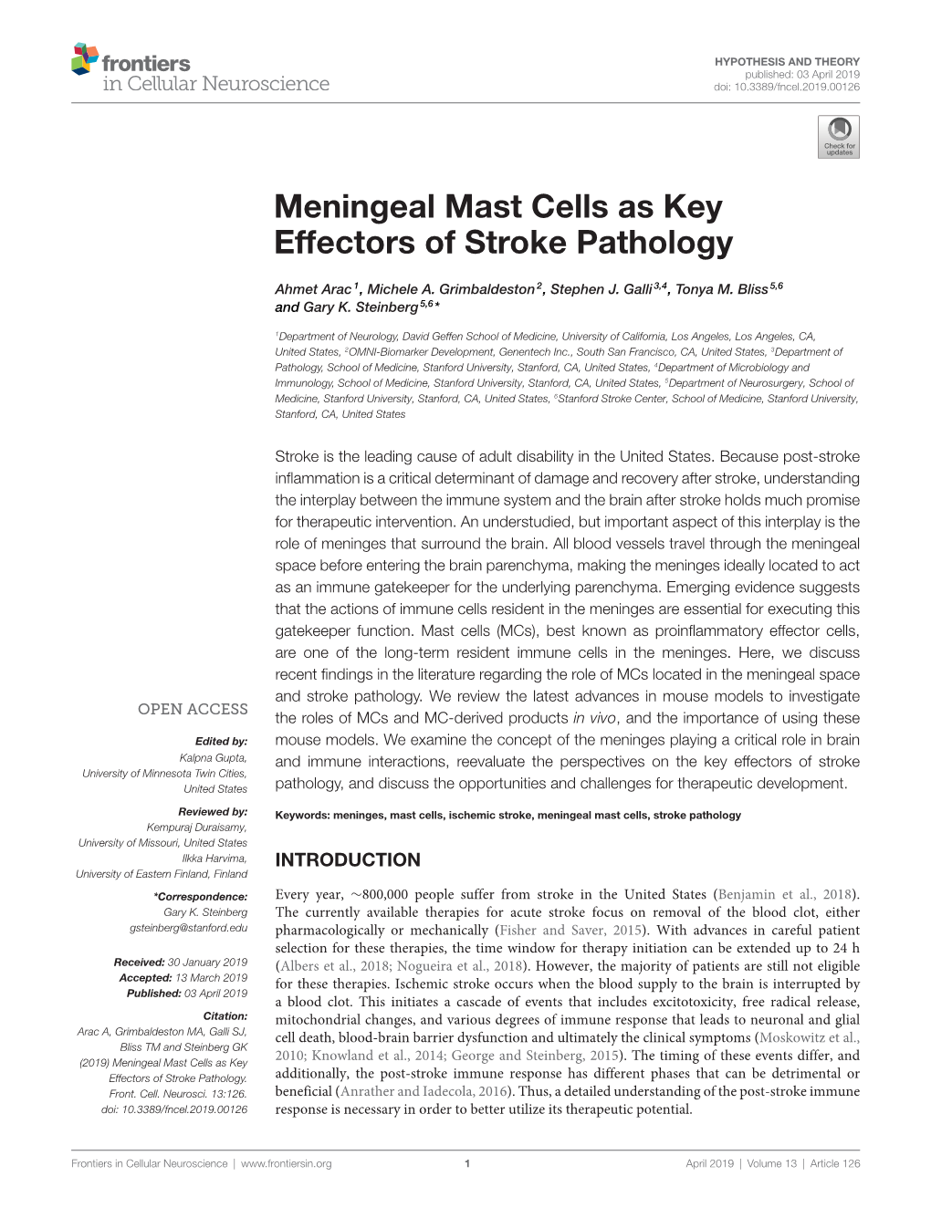 Meningeal Mast Cells As Key Effectors of Stroke Pathology