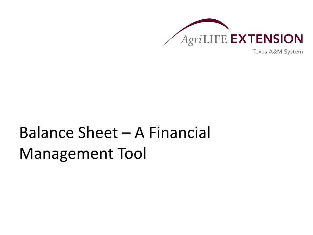 Balance Sheet – a Financial Management Tool Overview