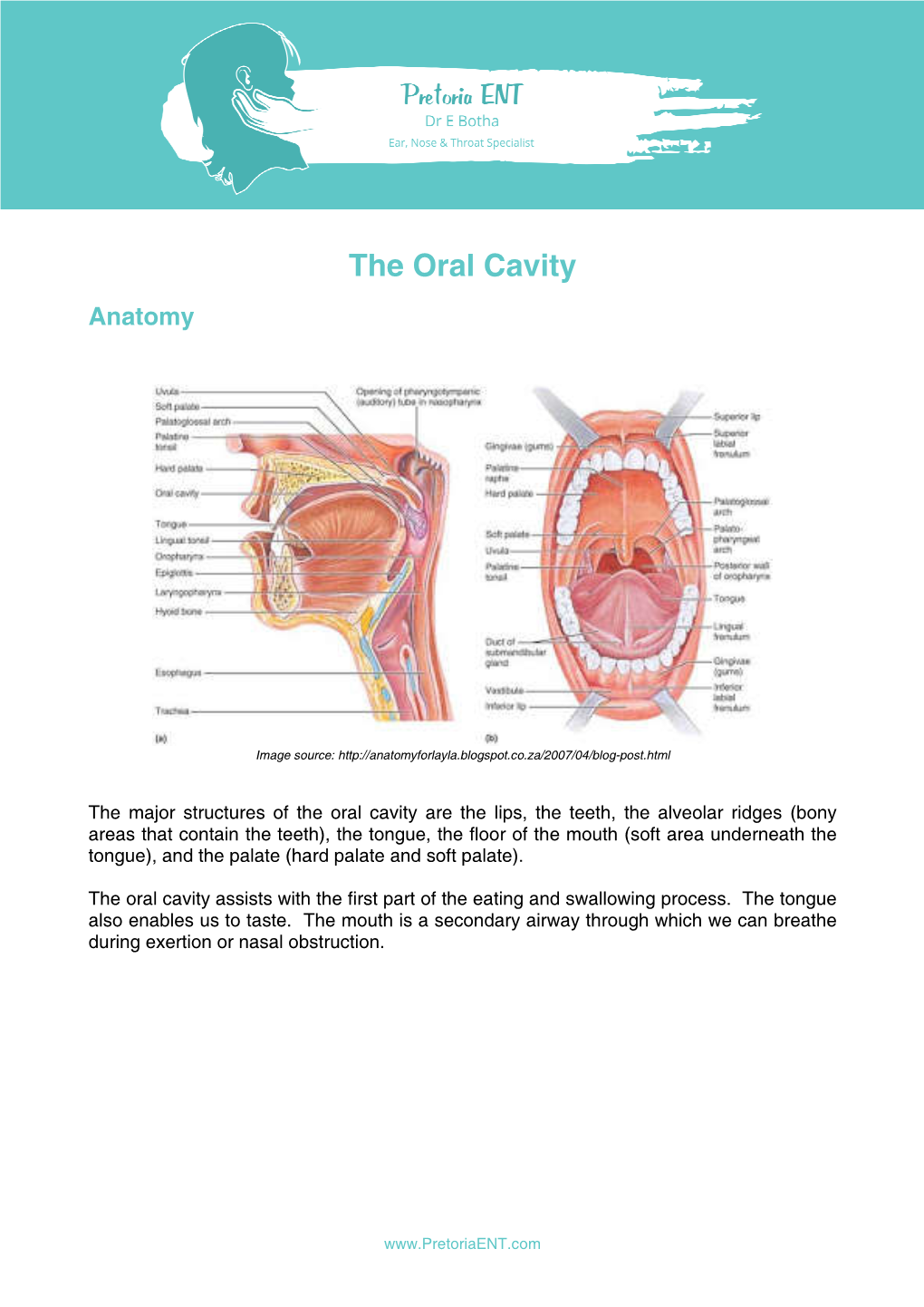 Oral Cavity Conditions and Treatment