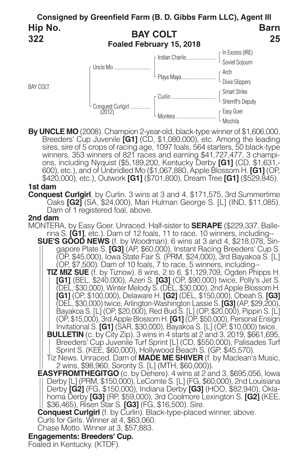 BAY COLT Barn 25 Hip No