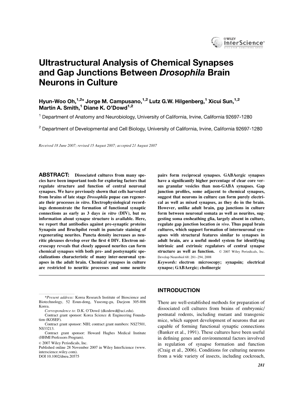 Ultrastructural Analysis of Chemical Synapses and Gap Junctions Between Drosophila Brain Neurons in Culture