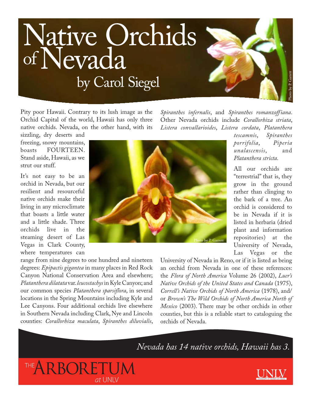 Native Orchids Ofnevada