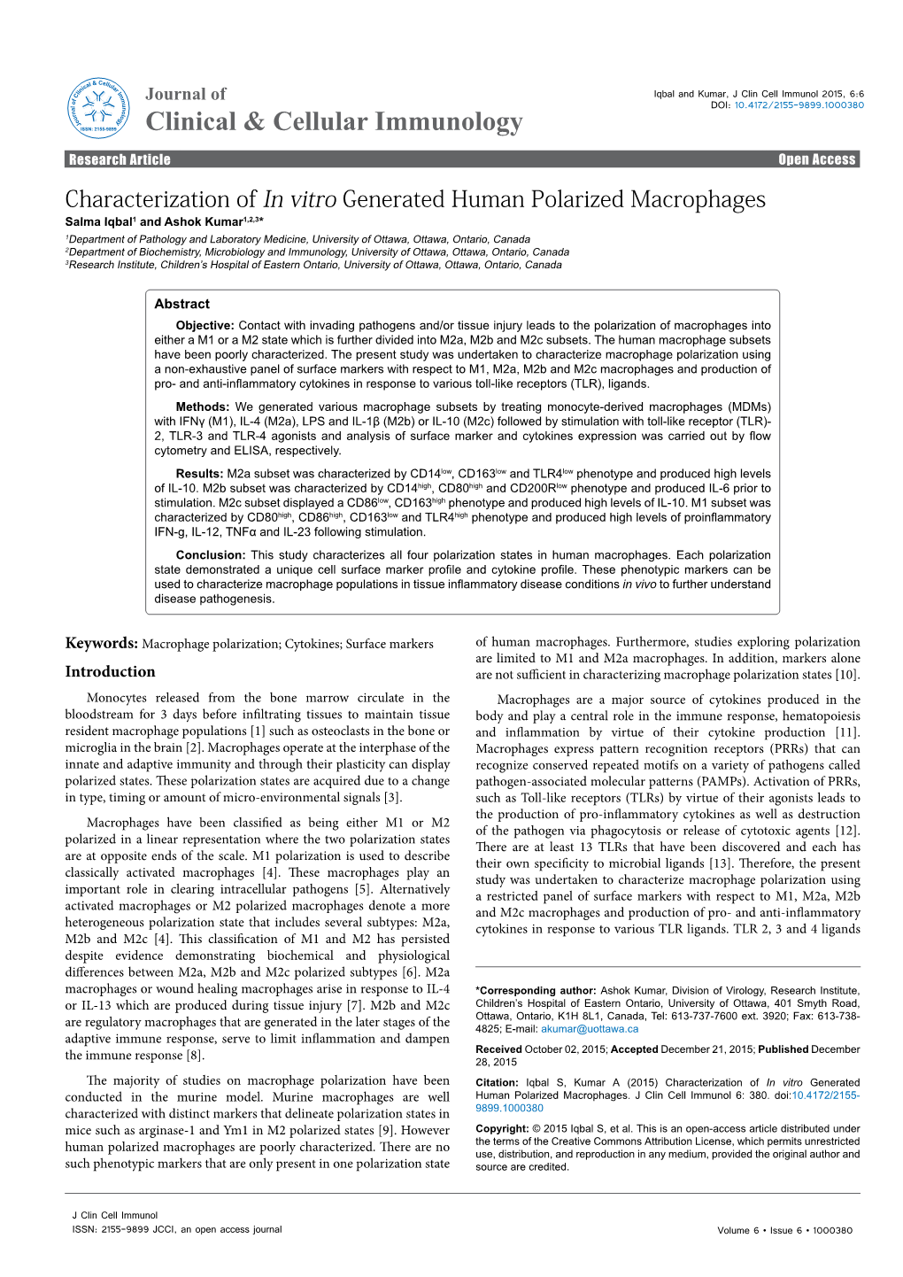 Characterization of in Vitro Generated Human Polarized Macrophages