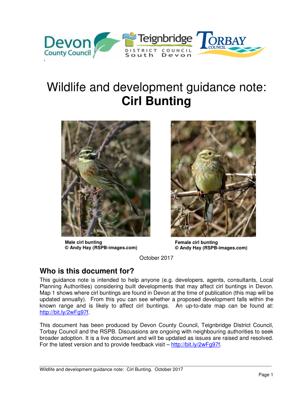 Cirl Bunting