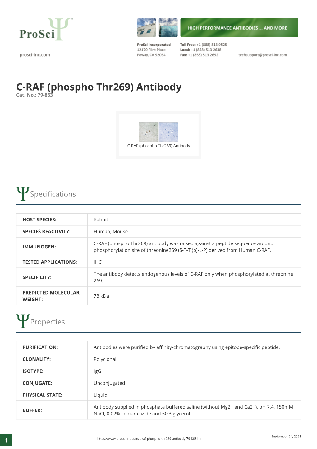 C-RAF (Phospho Thr269) Antibody Cat