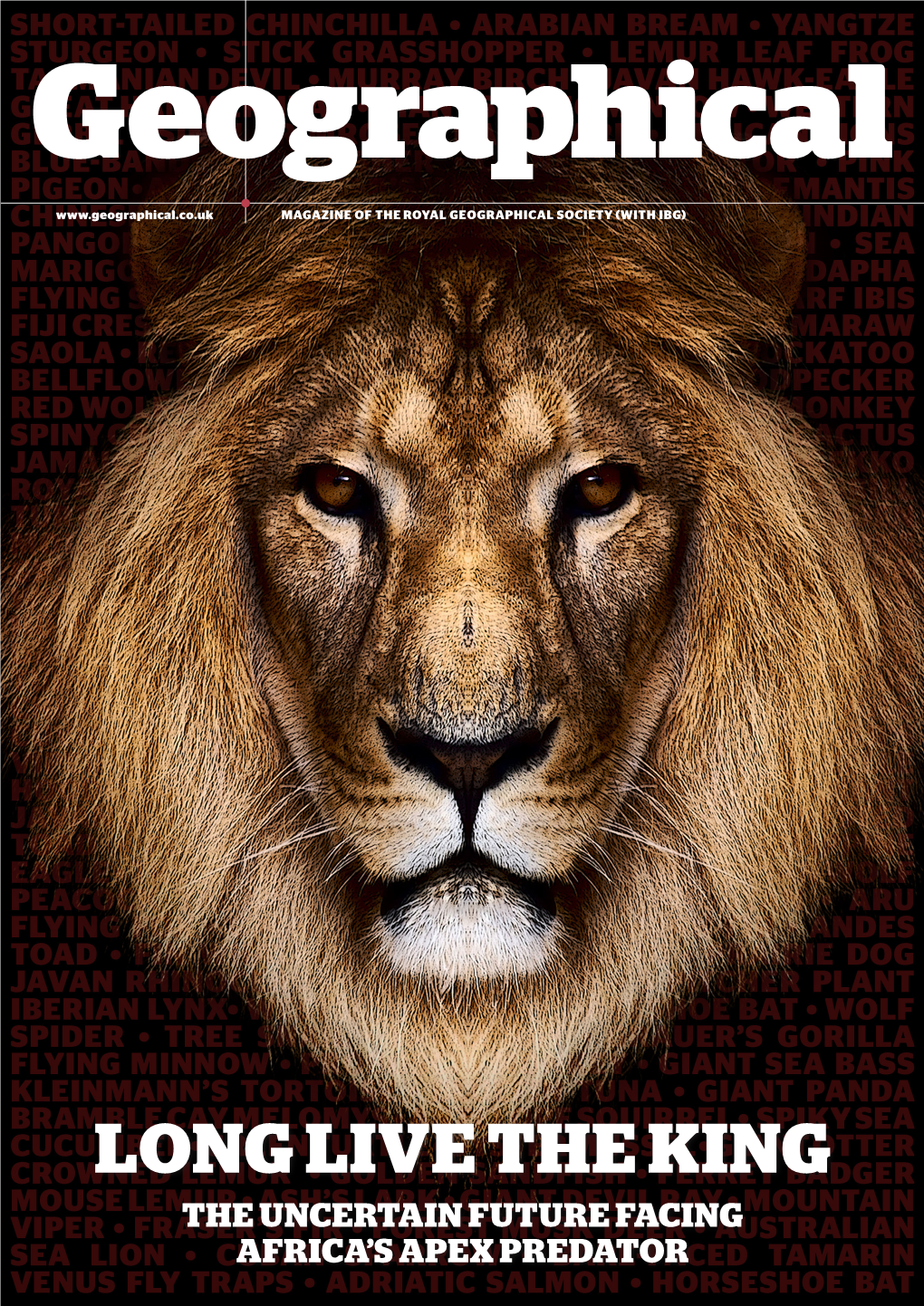 Lions: Long Live the King (15.2Mb PDF Download)