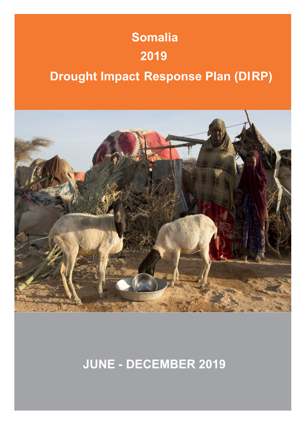 Somalia 2019 Drought Impact Response Plan (DIRP) JUNE