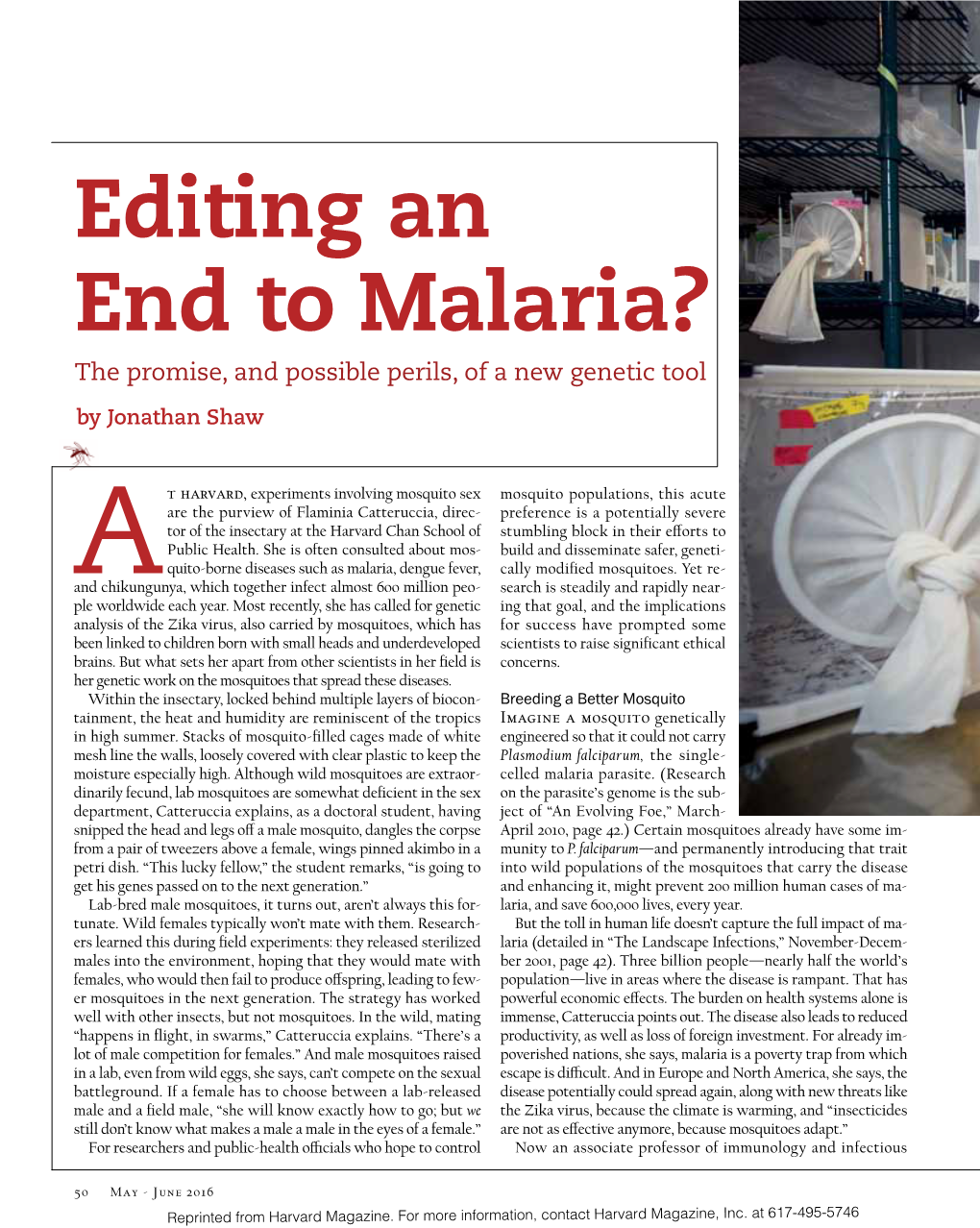 Editing an End to Malaria? the Promise, and Possible Perils, of a New Genetic Tool by Jonathan Shaw