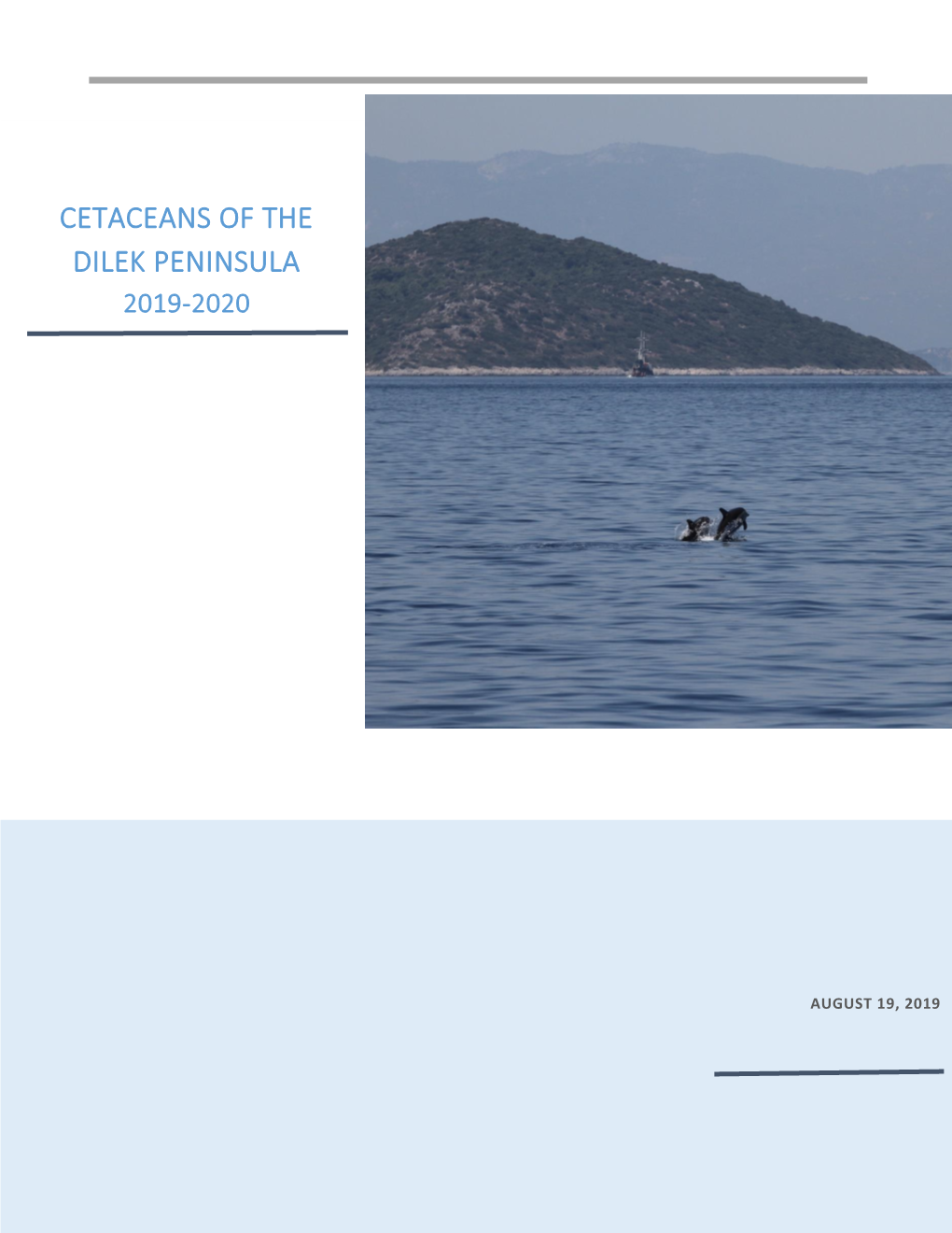 Cetaceans of the Dilek Peninsula 2019-2020