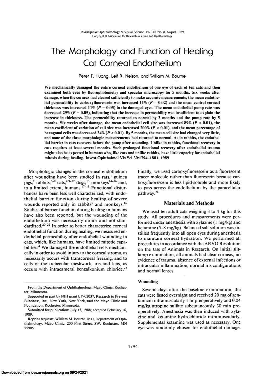 The Morphology and Function of Healing Cat Corneal Endothelium