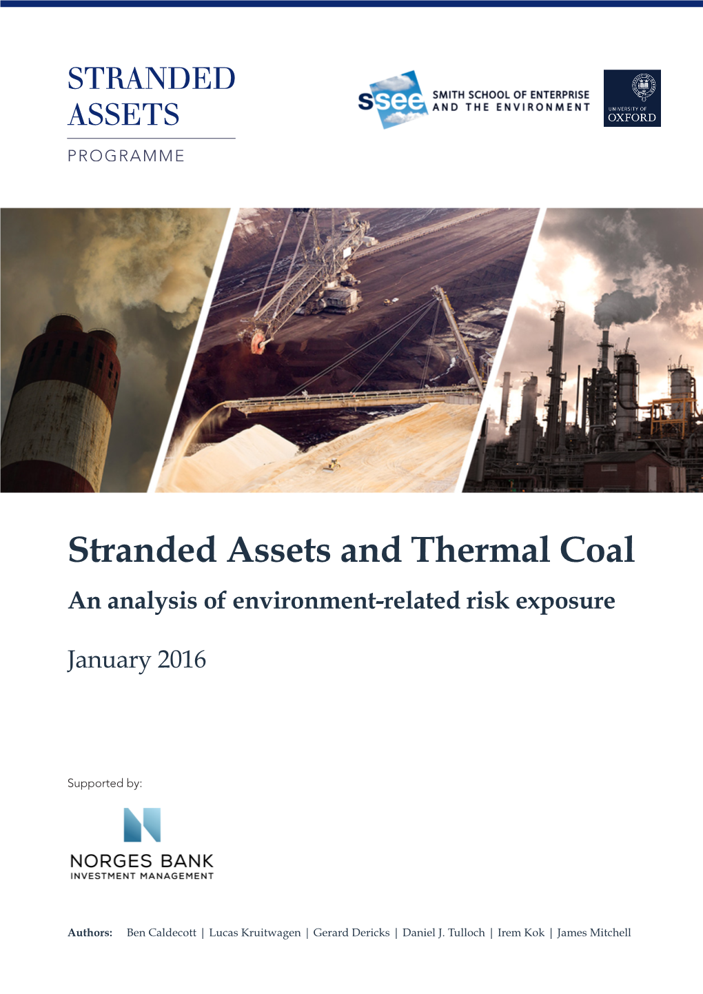 Stranded Assets and Thermal Coal an Analysis of Environment-Related Risk Exposure