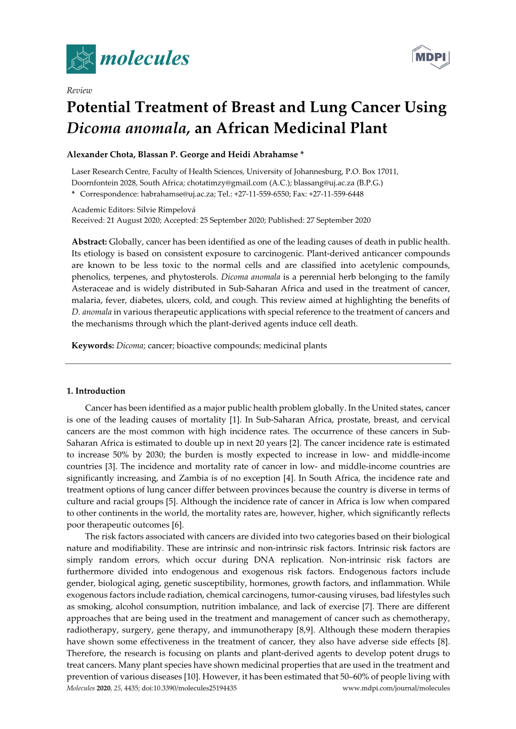 Potential Treatment of Breast and Lung Cancer Using Dicoma Anomala, an African Medicinal Plant