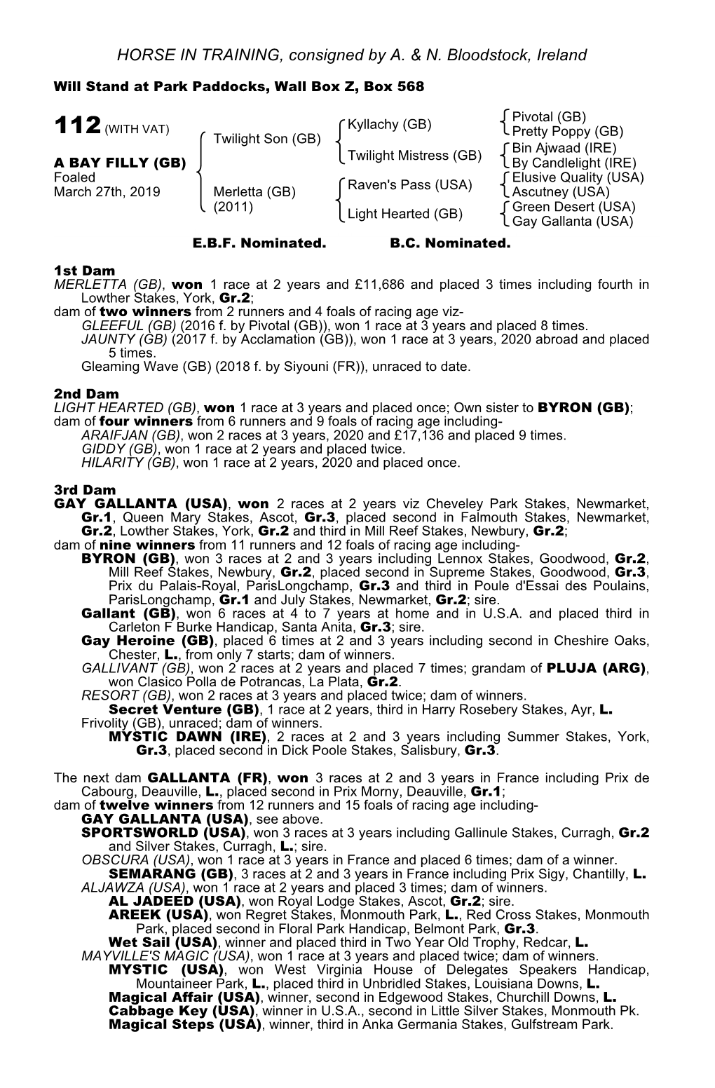 HORSE in TRAINING, Consigned by A. & N. Bloodstock, Ireland