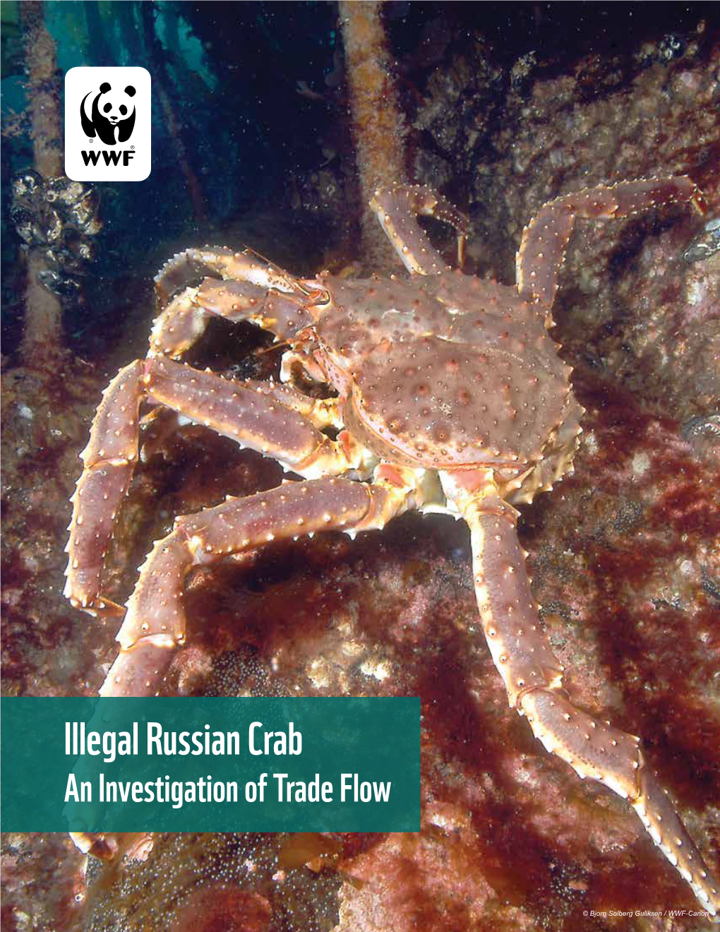 Illegal Russian Crab an Investigation of Trade Flow