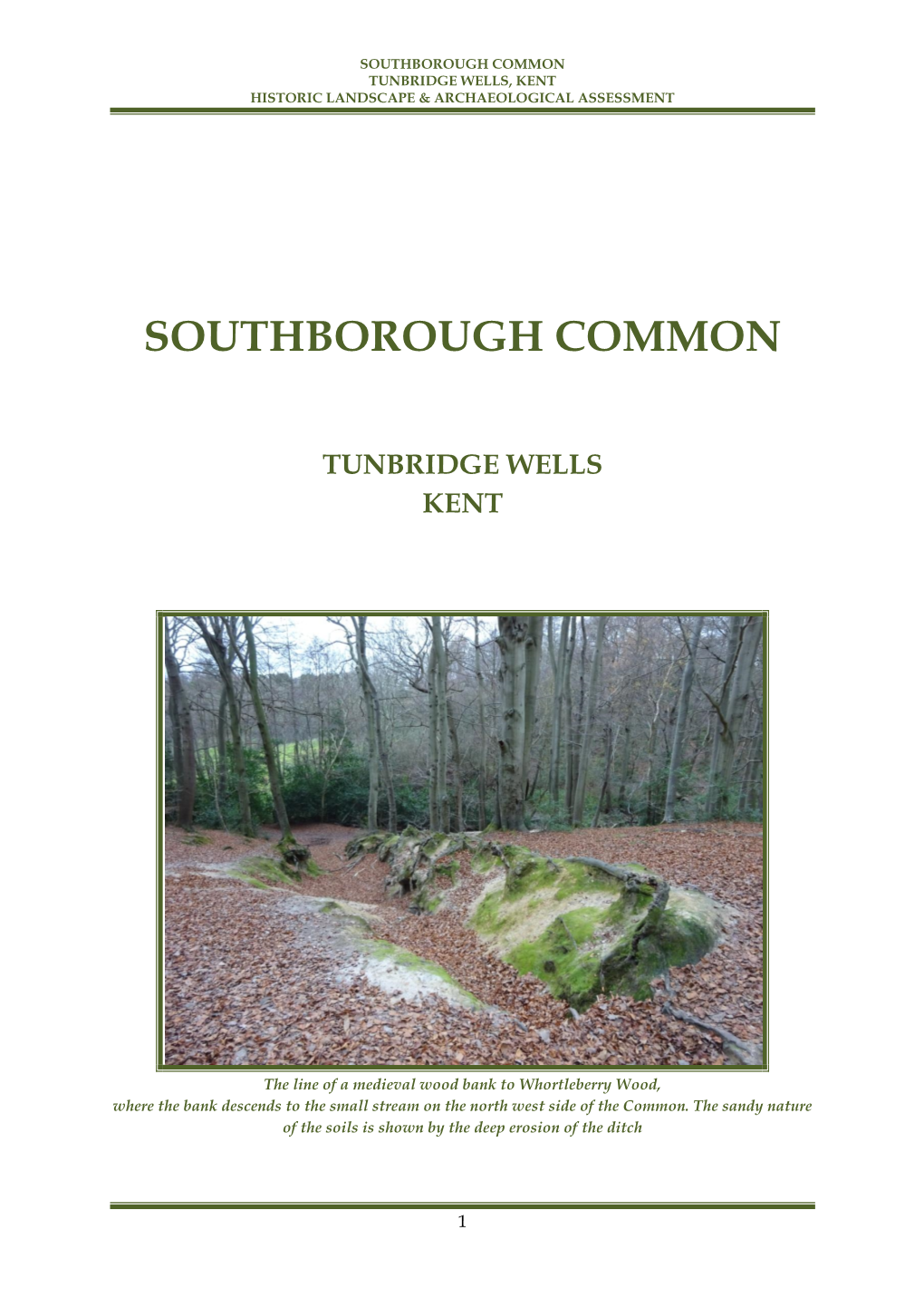 Southborough Common Tunbridge Wells Kent