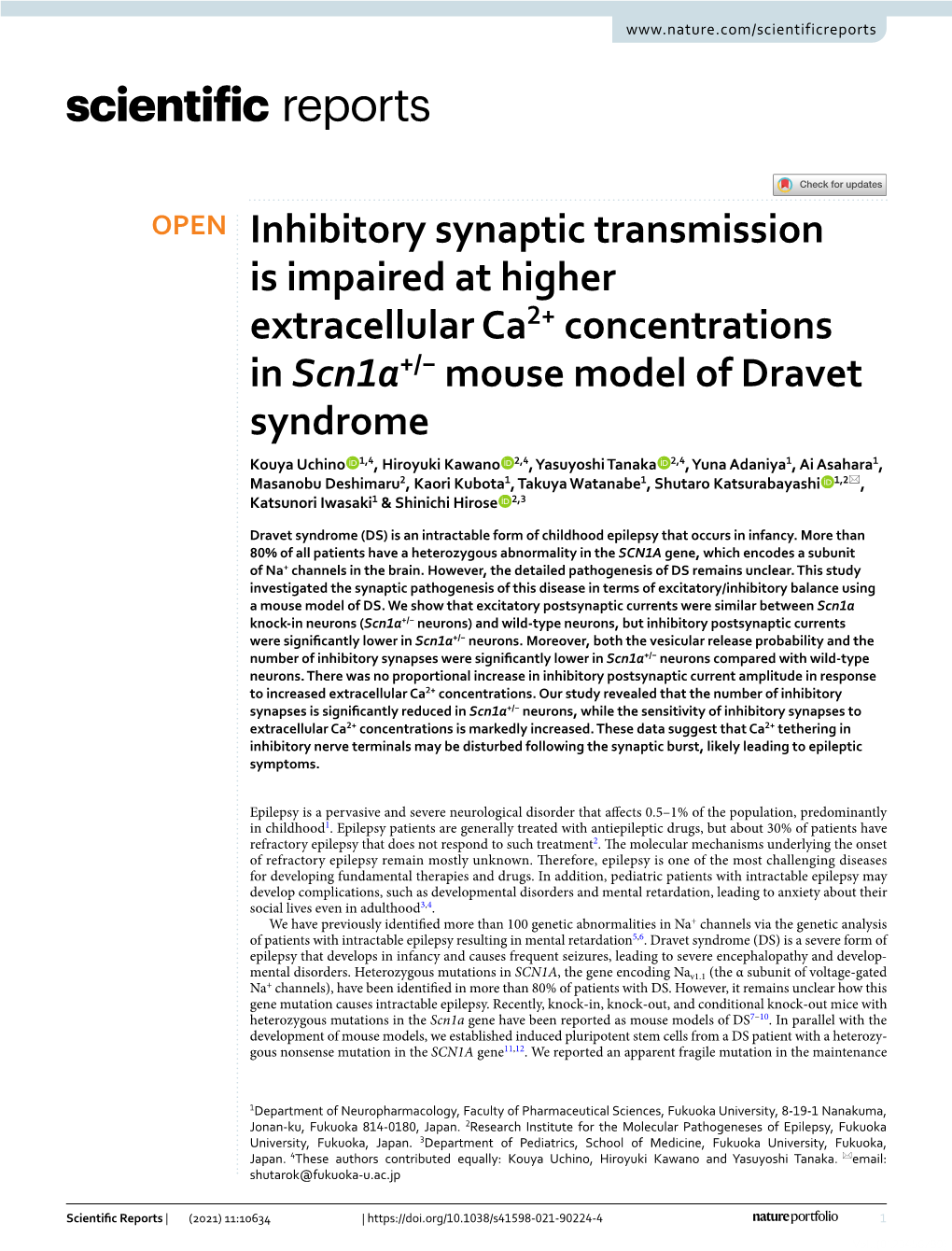 Inhibitory Synaptic Transmission Is Impaired at Higher Extracellular