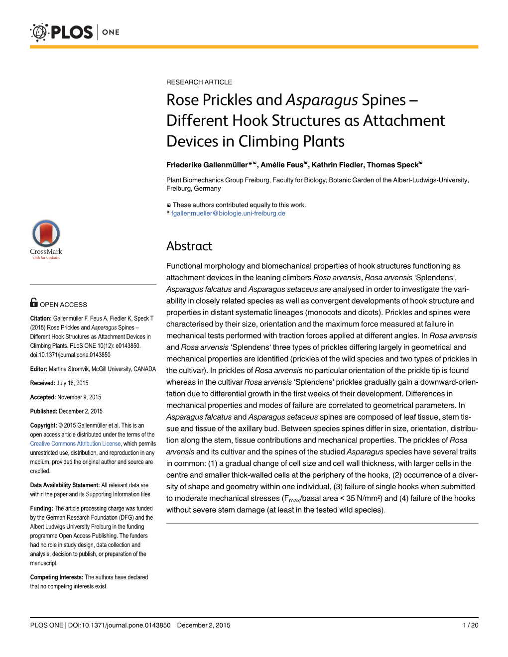 Rose Prickles and Asparagus Spines – Different Hook Structures As Attachment Devices in Climbing Plants