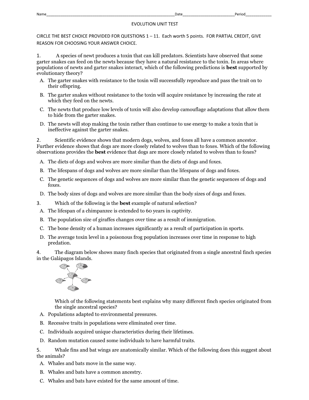 Evolution Unit Test