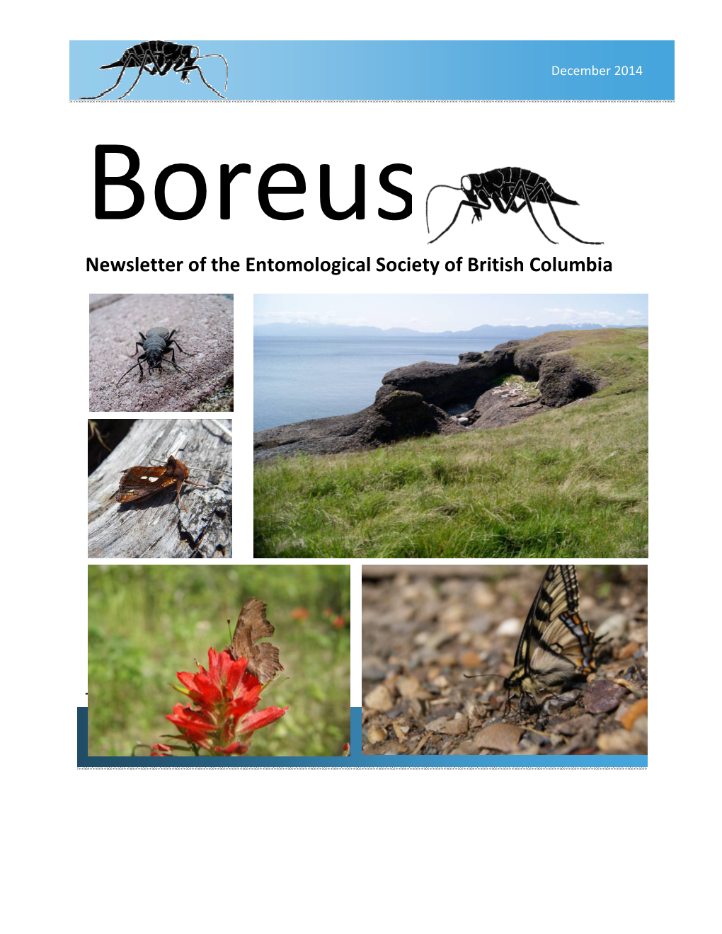 Newsletter of the Entomological Society of British Columbia