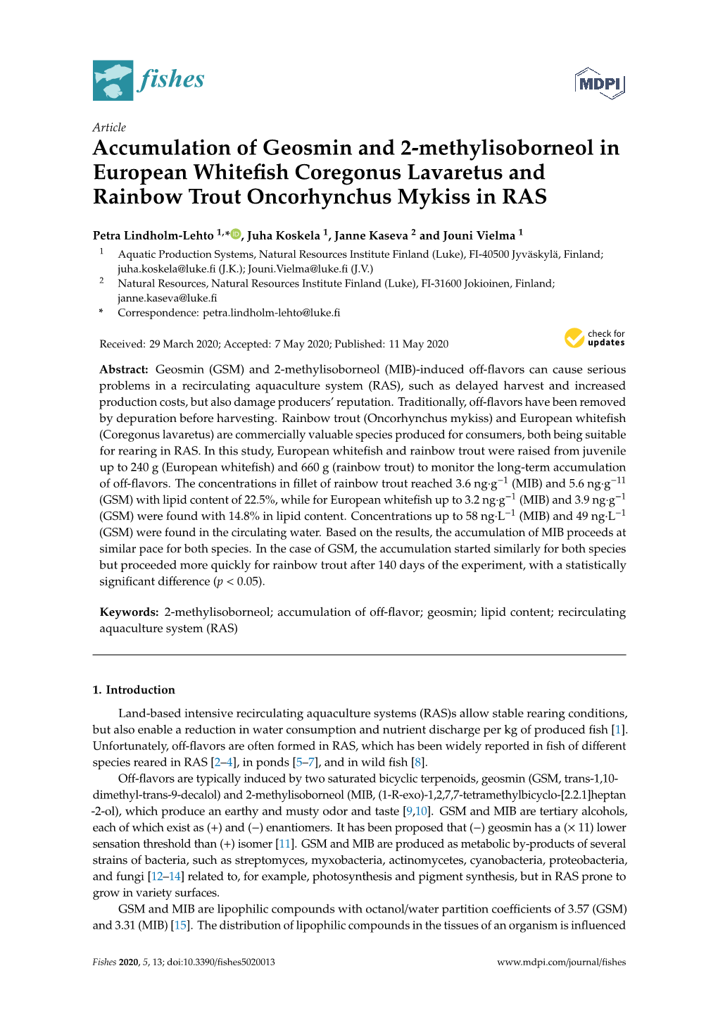 Accumulation of Geosmin and 2-Methylisoborneol in European Whiteﬁsh Coregonus Lavaretus and Rainbow Trout Oncorhynchus Mykiss in RAS