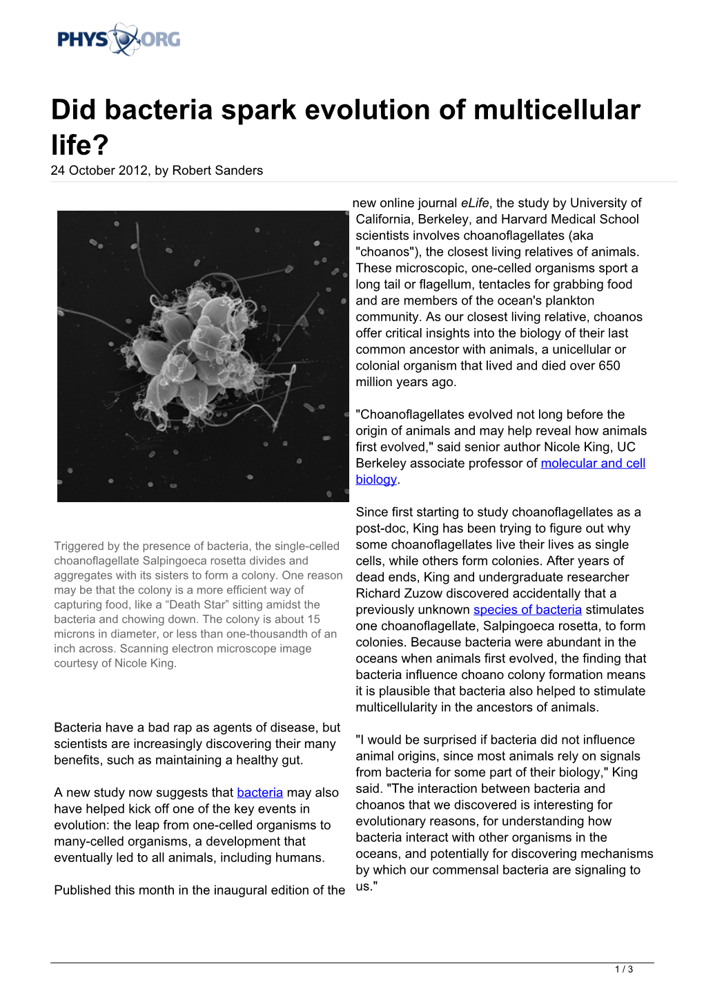 Did Bacteria Spark Evolution of Multicellular Life? 24 October 2012, by Robert Sanders