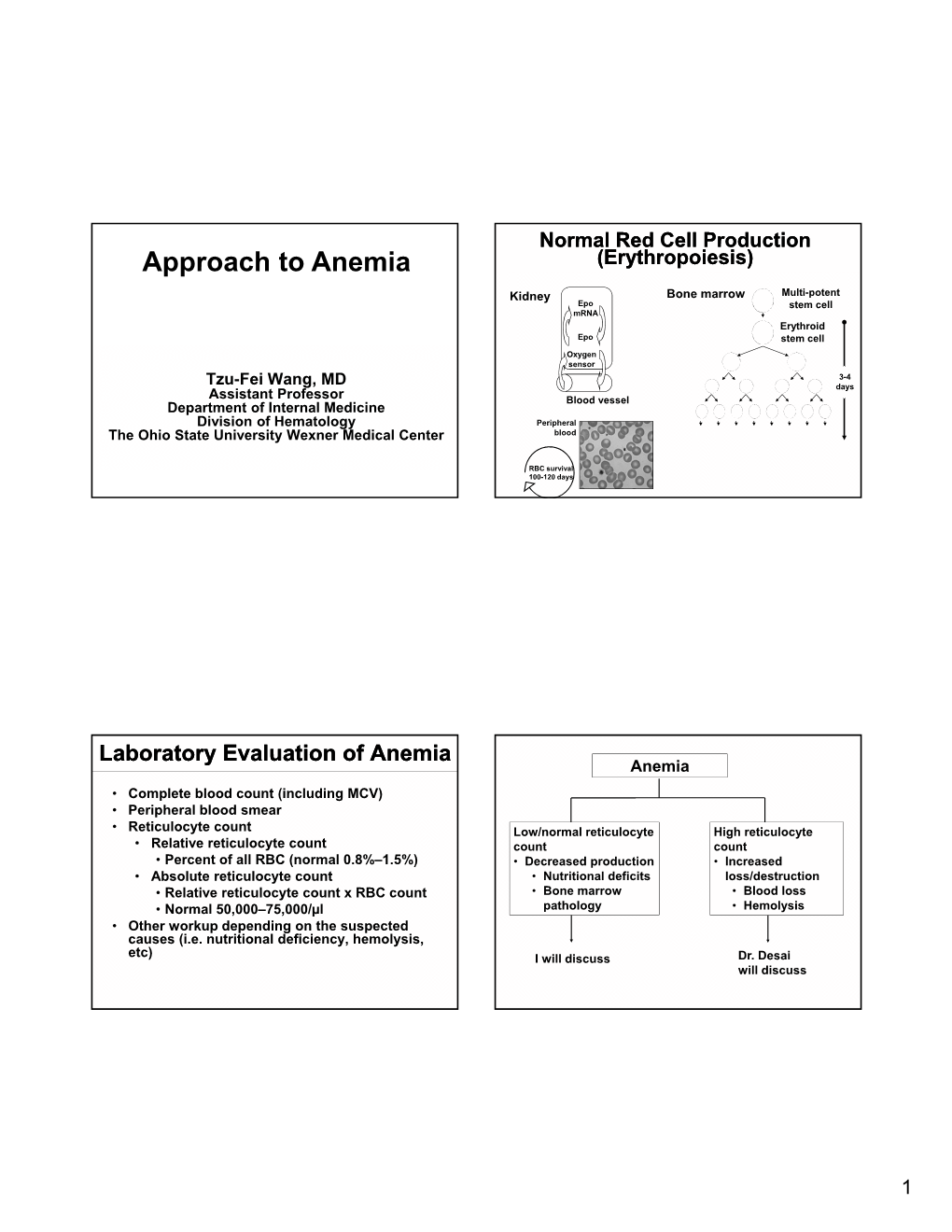Approach to Anemia (Erythropoiesis)