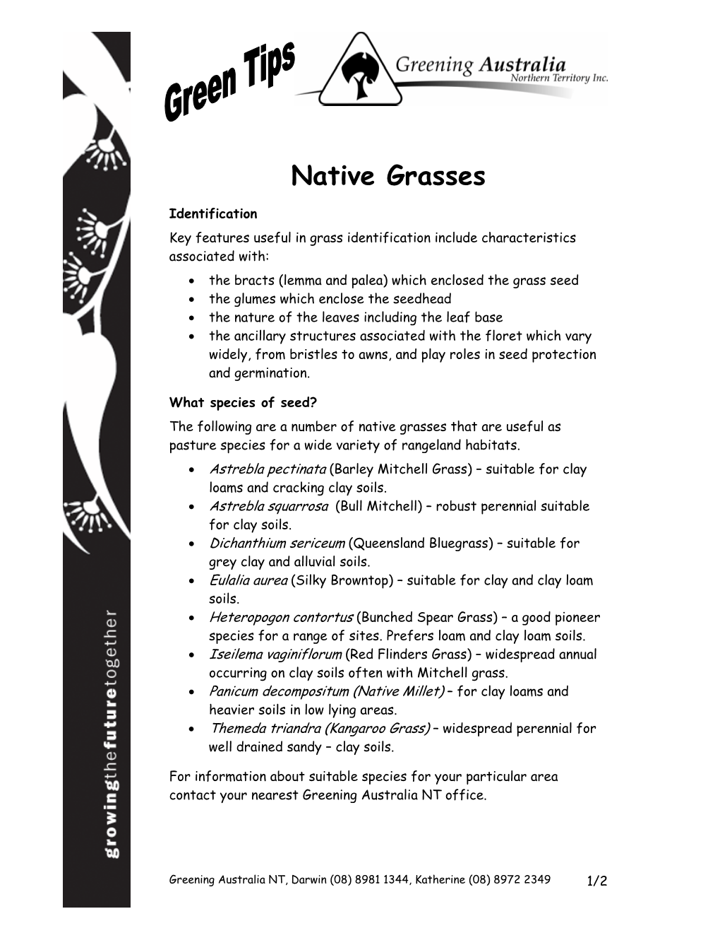 Native Grasses