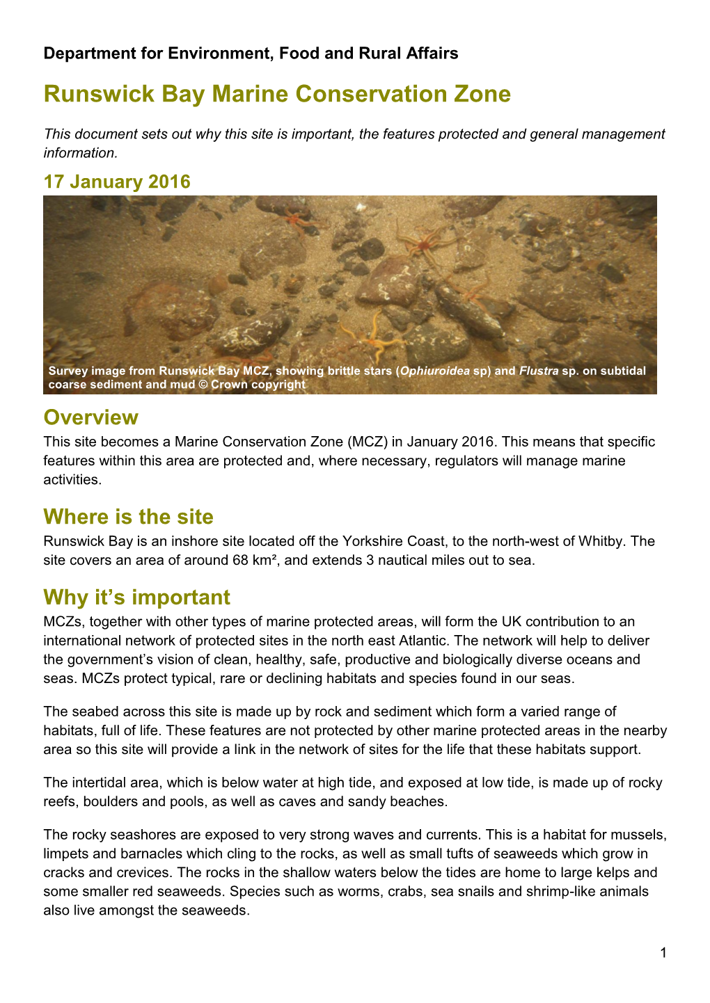 Runswick Bay MCZ Factsheet