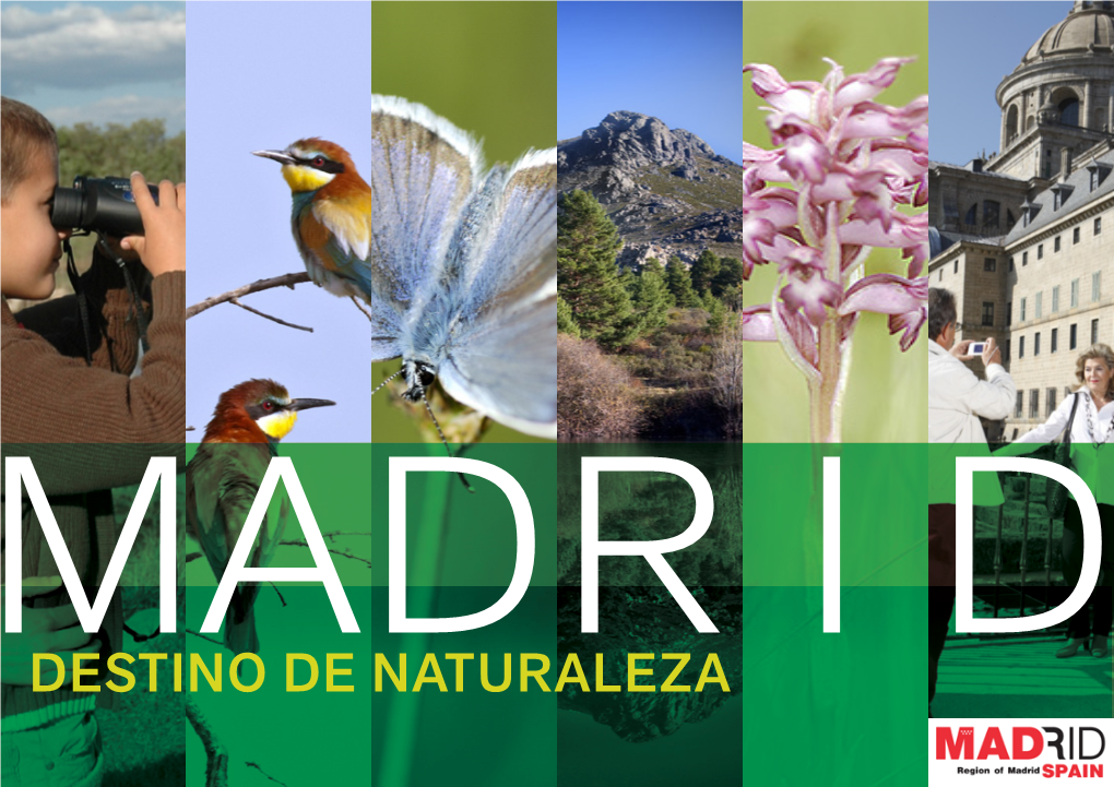 Destino De Naturaleza Madrid Es Cultura, Es Arte Y Espectáculos, Es Compras, Gastronomía Y Enología