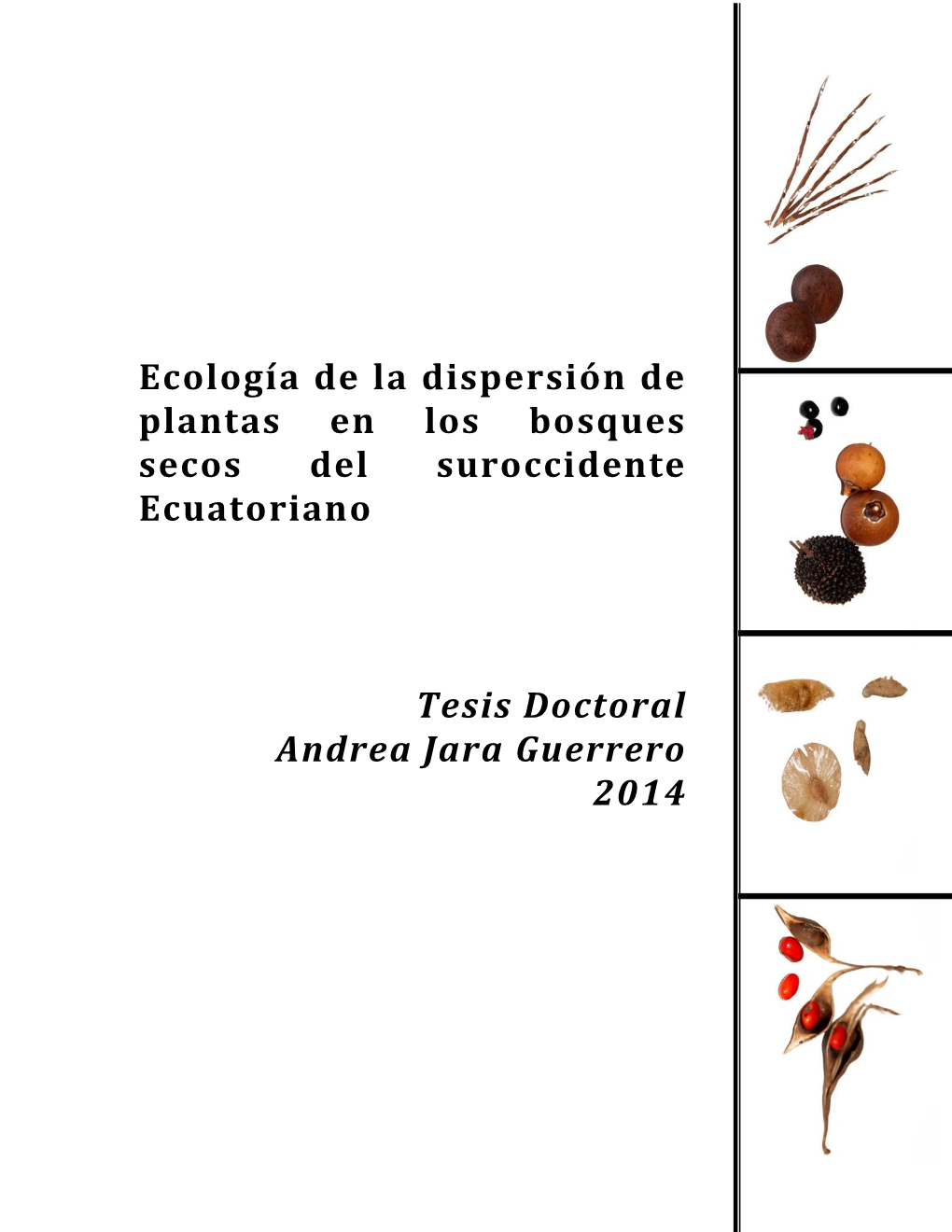 Departamento De Biología Vegetal, Escuela Técnica Superior De Ingenieros Agrónomos