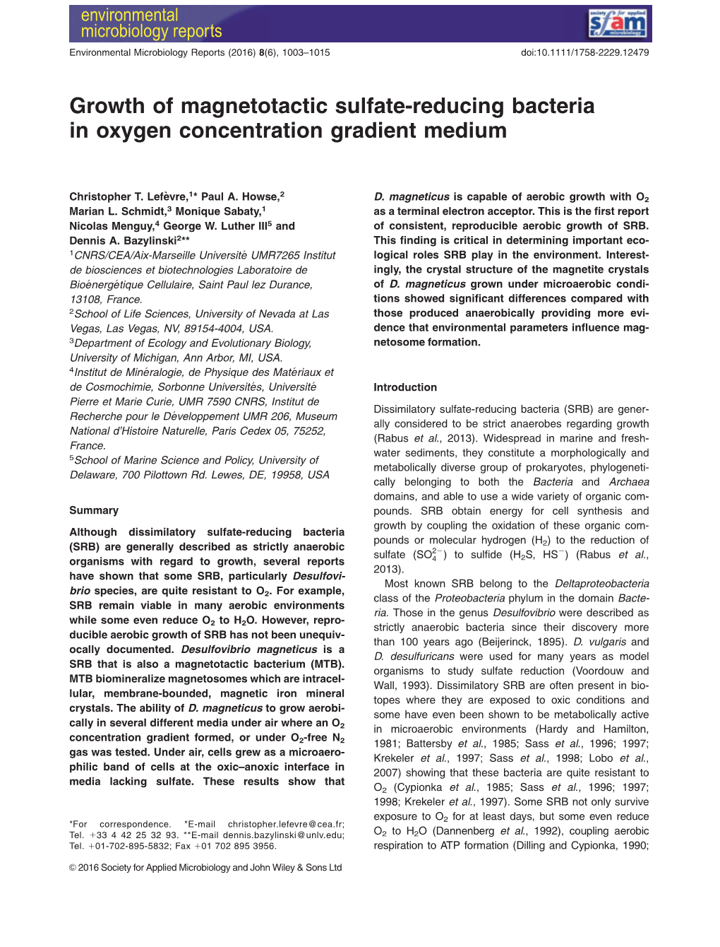 Growth of Magnetotactic Sulfate‐Reducing Bacteria in Oxygen