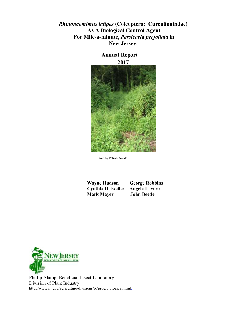 Rhinoncomimus Latipes (Coleoptera: Curculionindae) As a Biological Control Agent for Mile-A-Minute, Persicaria Perfoliata in New Jersey