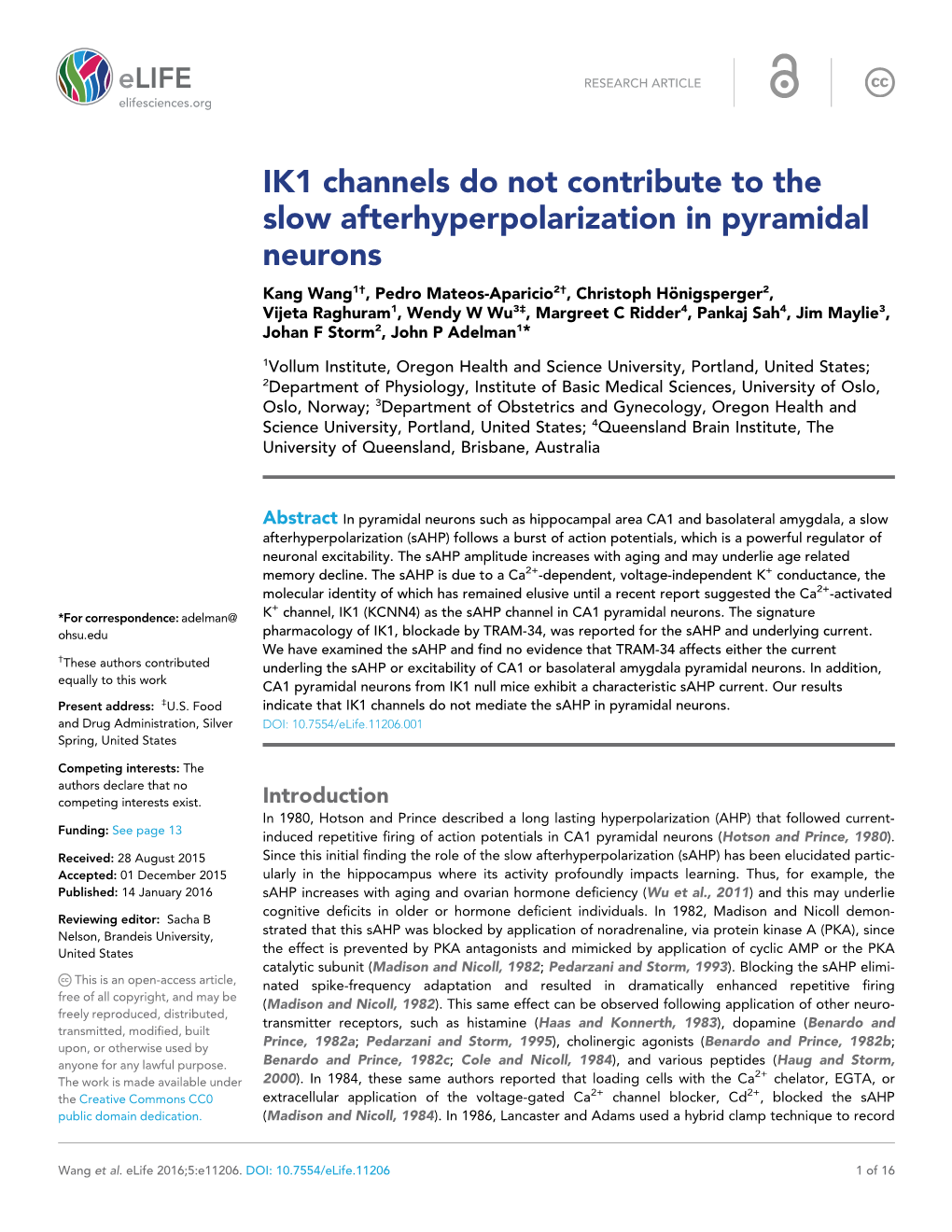 IK1 Channels Do Not Contribute to the Slow Afterhyperpolarization In
