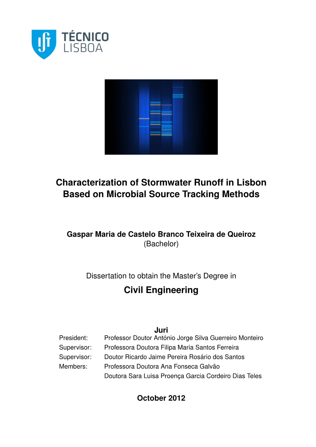 Characterization of Stormwater Runoff in Lisbon Based on Microbial Source Tracking Methods