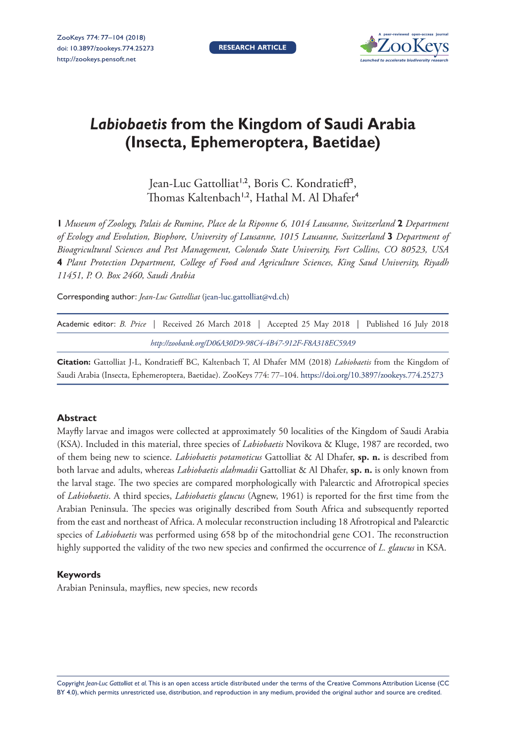 Labiobaetis from the Kingdom of Saudi Arabia (Insecta, Ephemeroptera, Baetidae)