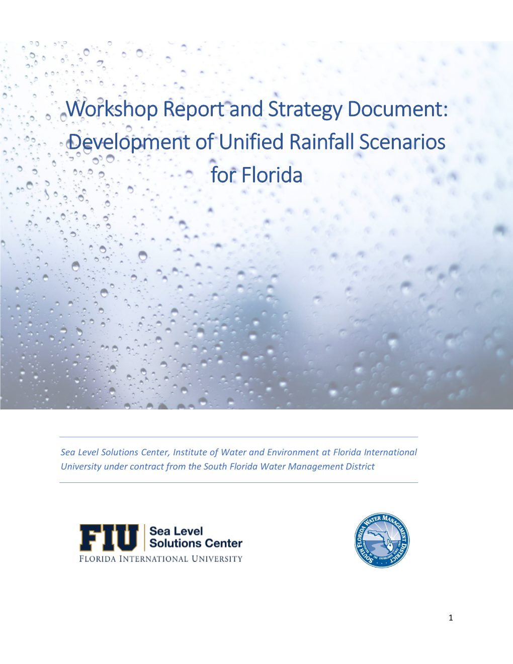 Rainfall Workshop Report