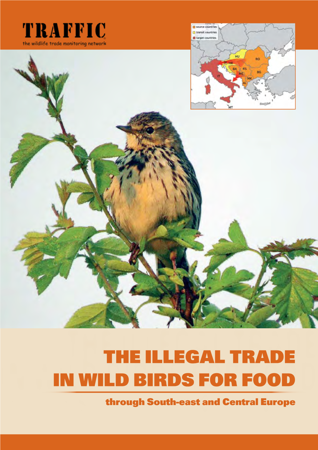 The Illegal Trade in Wild Birds for Food Through South-East and Central