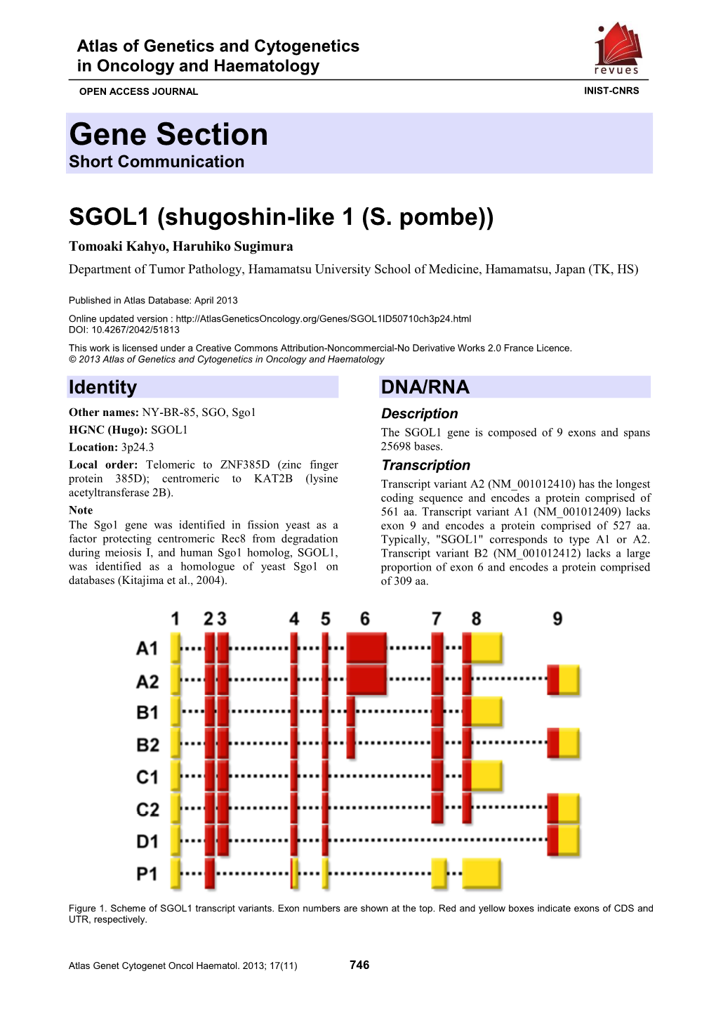 Gene Section Short Communication