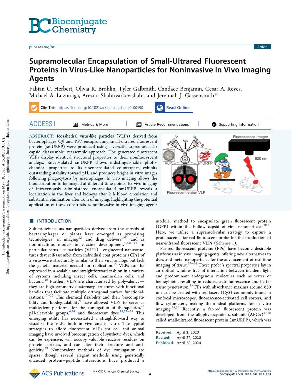 Supramolecular Encapsulation of Small-Ultrared Fluorescent Proteins in Virus-Like Nanoparticles for Noninvasive in Vivo Imaging Agents Fabian C