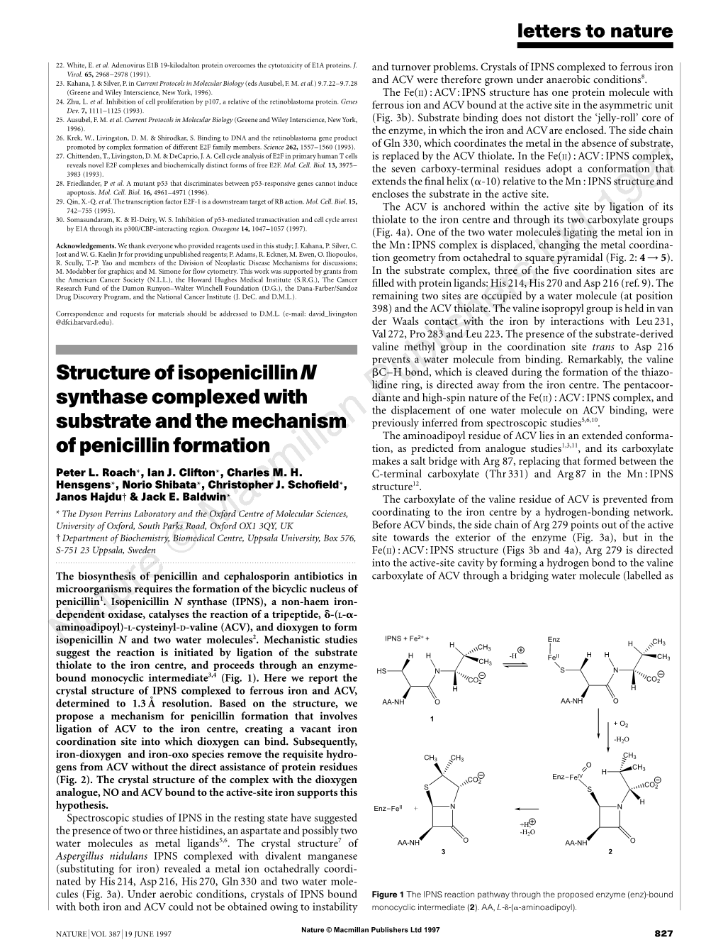 Structure of Isopenicillin N Synthase Complexed with Substrate and the Mechanism of Penicillin Formation