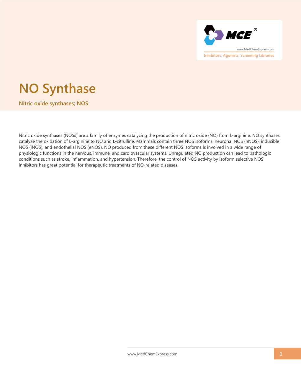 NO Synthase Nitric Oxide Synthases; NOS