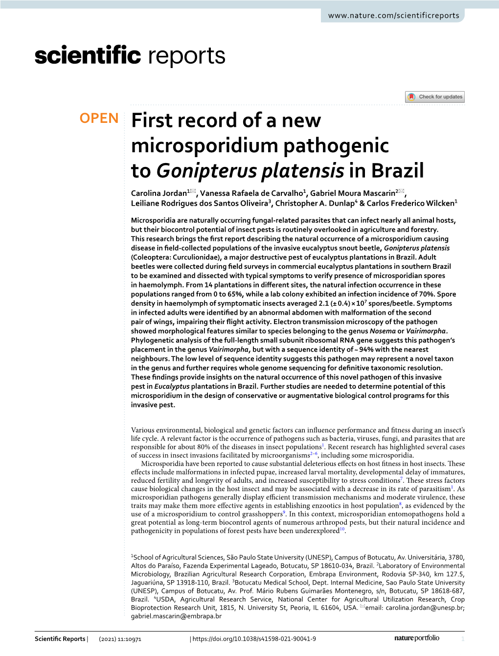 First Record of a New Microsporidium Pathogenic to Gonipterus Platensis