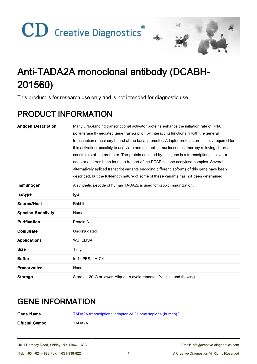 Anti-TADA2A Monoclonal Antibody (DCABH- 201560) This Product Is for Research Use Only and Is Not Intended for Diagnostic Use