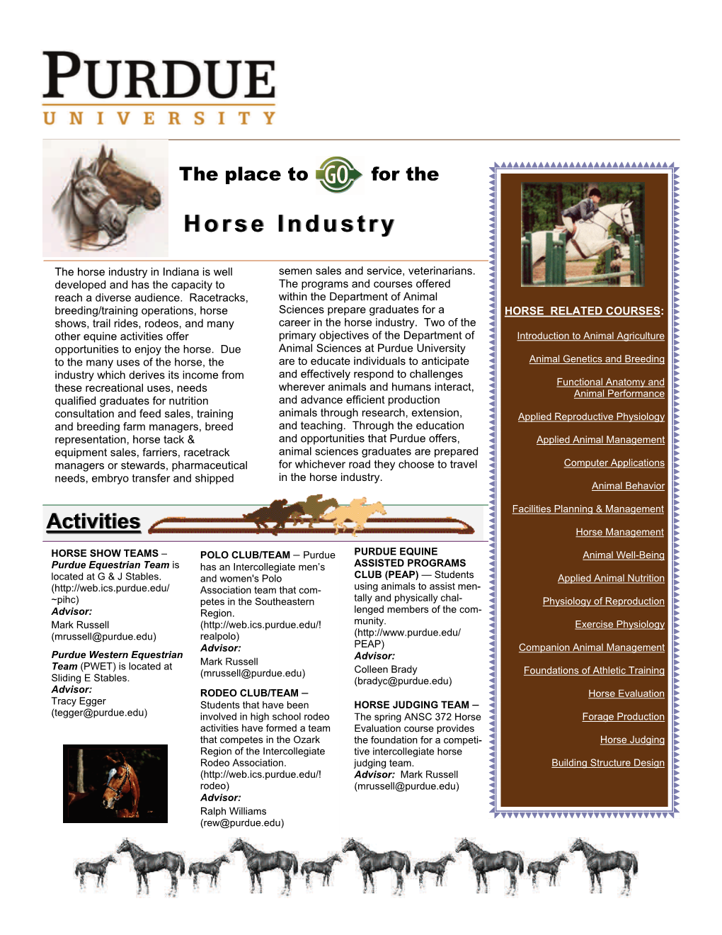 Horse Industryindustry