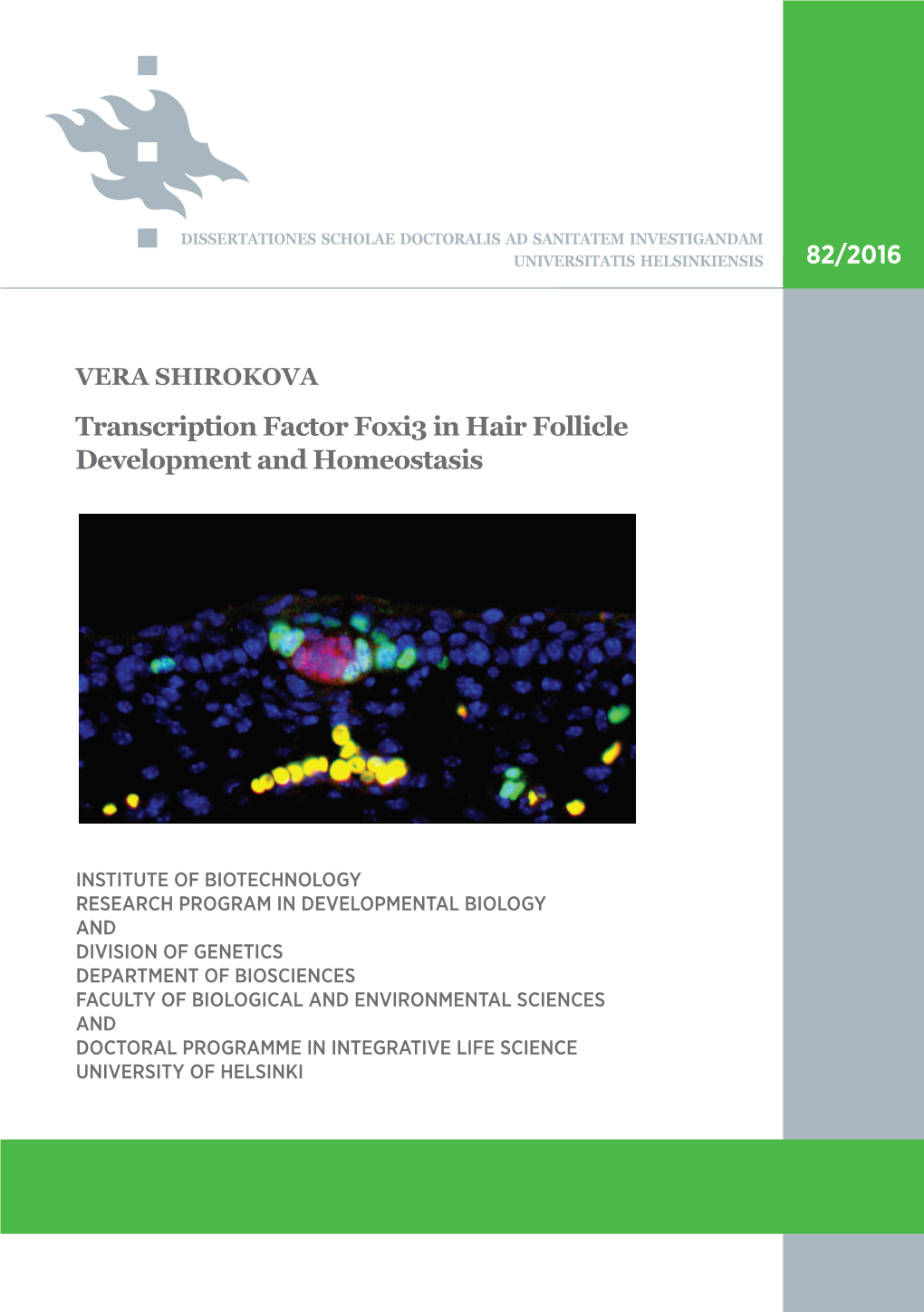 Transcription Factor Foxi3 in Hair Follicle Development and Homeostasis Recent Publications in This Series