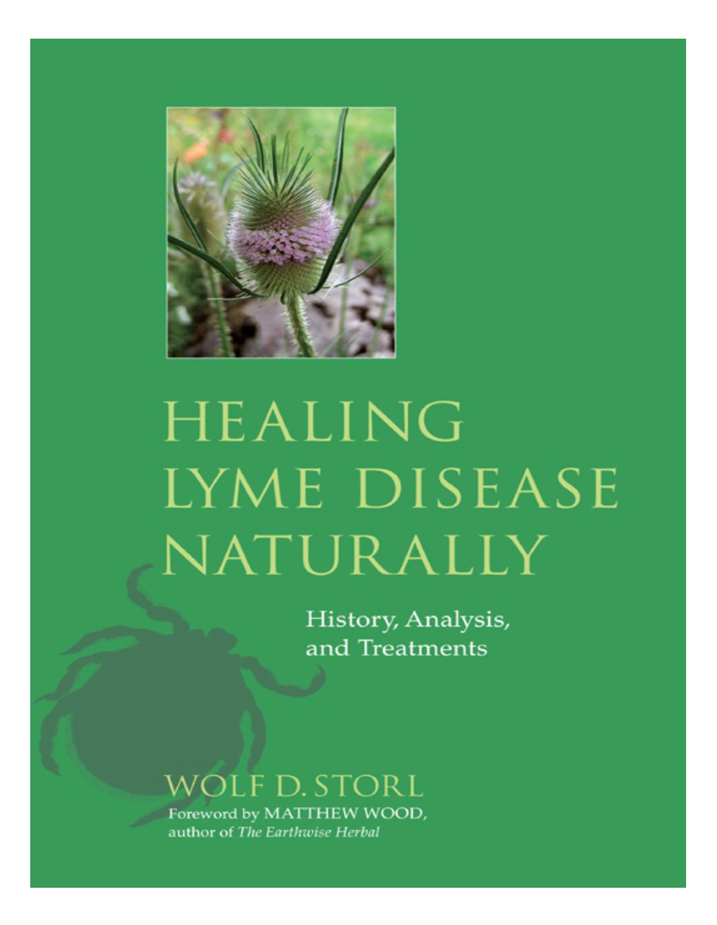 Healing Lyme Disease Naturally